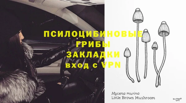 наркотики Елизово