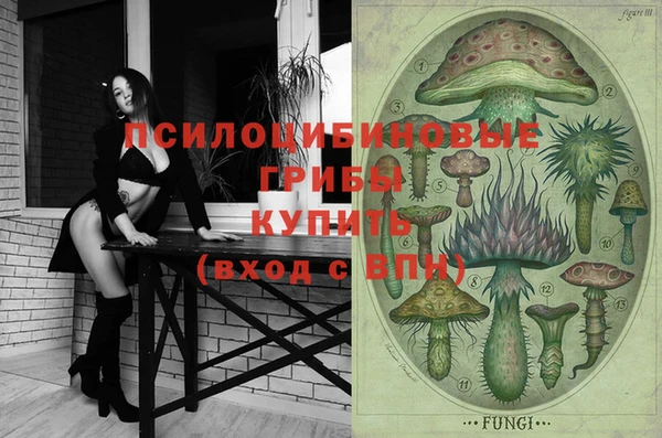 прущая мука Елабуга