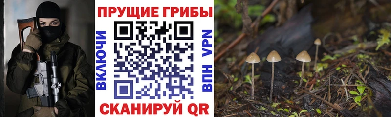 гидра онион  Полярные Зори  Галлюциногенные грибы мухоморы 